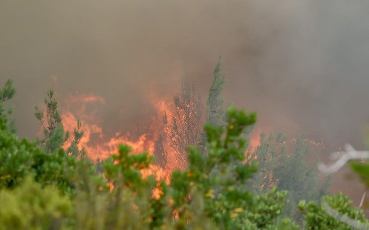 Πυρκαγιά στην Κομπωτή Αιτωλοακαρνανίας